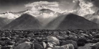 Ansel Adams, dalla serie Museum Sets, 1923-68