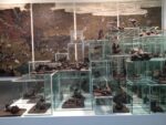 Armory Show preview 4 New York Updates: dalle parole ai fatti. In real time dalla preview, la prima fotogallery dall’Armory Show