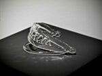 Dragana Sapanjoš Diz – Ray blown glass courtesy the artist and Jarach Gallery Cinquant’anni di camp