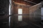 Giorgio Androtta Calò I quattro del Maxxi. Sono i finalisti del Premio Italia, in mostra al museo e in attesa delle medaglie. Vorreste sbirciare durante la premiazione? Facile. Tutto in diretta via streaming