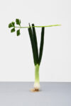 Raw Color Springonion Celery Cibo, arte e design. Metti insieme Martin Creed, Pierre Gagnaire, Raw Color e chiudili dentro allo Sketch di Londra. Il risultato? Eccolo, con video e foto a volontà