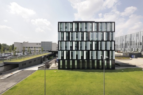 Studio BarrecaLa Varra Edificio B5 Milano photo Paolo Rosselli 1 Minimal, ma con un vezzo optical. E attento alla sostenibilità: ecco il nuovo edificio RCS creato a Nord Milano dallo studio Barreca&La Varra