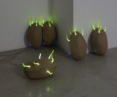 3 L.LUPANO Glowing Potatoes 01 05 Spirito di patate