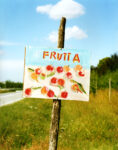 Cesare Fabbri L’art weekend di Pasqua? Si passa in Maremma. Con i paesaggi da collezione di Capalbiofotografia 2012