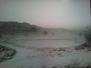 La natura, vista dalla finestra