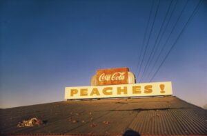 Fotografia, che passione. Temperatura alta per le aste newyorchesi d’inizio aprile, tra Sotheby’s, de Pury e Christie’s. Da Woodman a Eggleston, la primavera è tutto un record