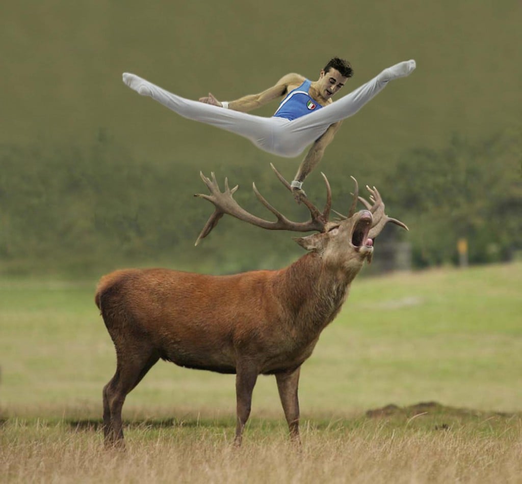 A Trieste la natura brucia