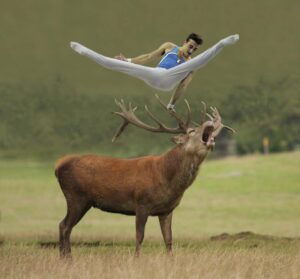 A Trieste la natura brucia