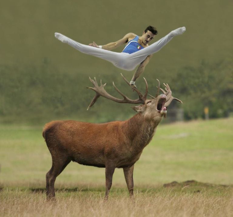 robert gligorov A Trieste la natura brucia