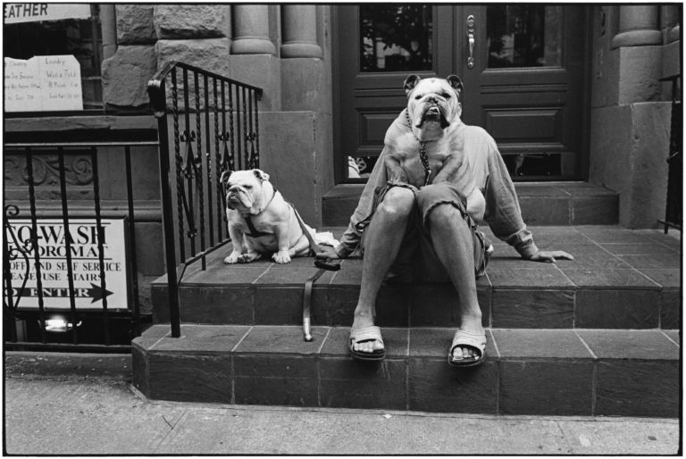 2 Erwitt Il meglio di Erwitt. Al neonato Centro di Fotografia di Venezia