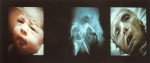 Bill Viola Nantes Triptych 1992 Video Installazione Sacre conversazioni in video. Bill Viola chez Panza