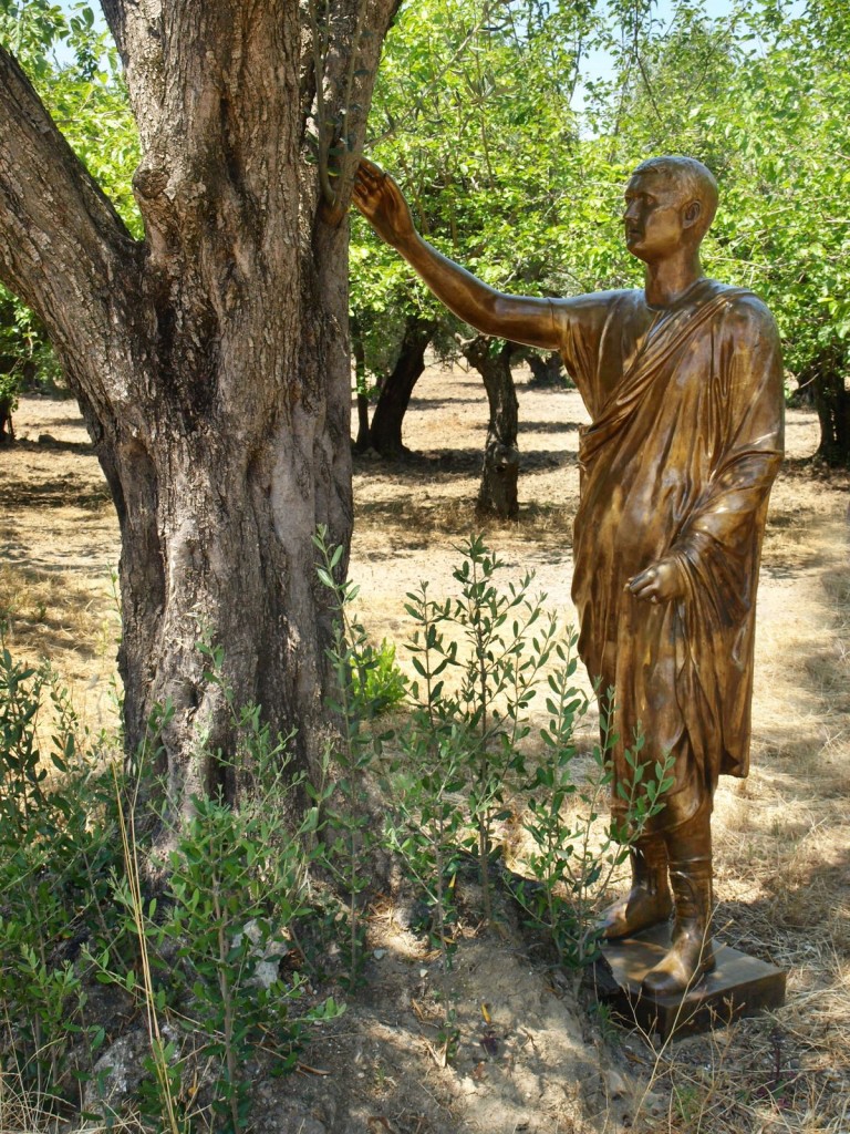 FOTO di A RENDA7 7 Calabria contemporanea