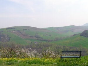 L’Appennino del Québec. Gemellaggio per residenze d’artista, dalla Romagna Rad’Art manda due artisti per sei settimane in Canada. C’è tempo fino al 31 maggio