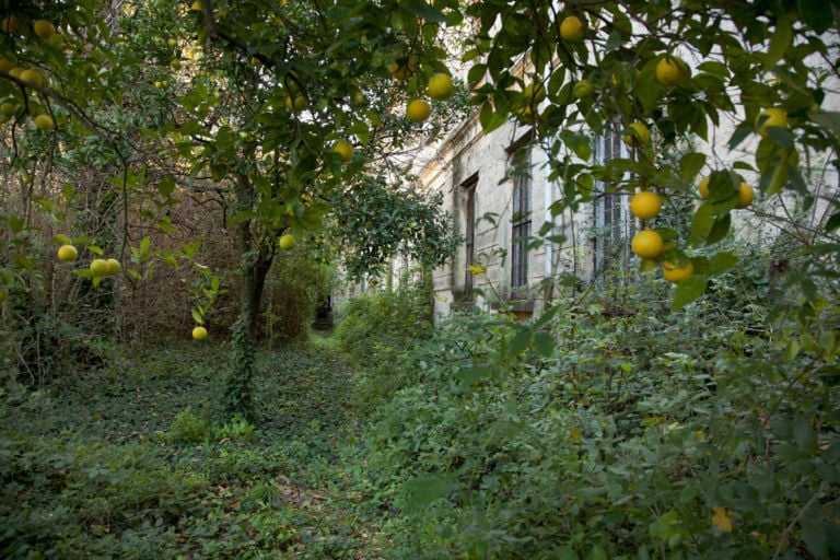 Sezione uomini giardino inverno Memorie dagli esiliati della società