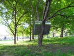 Virginia Overton FRIEZE PROJECTS New York Updates: installazioni en plein air, nell'incanto bucolico del parco di Randall’s Island. Sculpture Park e Frieze Project: una sfilza di artisti per due progetti curatoriali