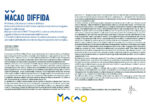 diffida A Milano sgomberano Macao. Troppe pressioni da parte del proprietario dell'immobile. Salvatore Ligresti si riprende la torre Galfa. E ora che faranno i Lavoratori dell'Arte?