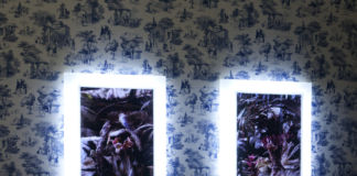 Mat Collishaw - The Crystal Gaze - veduta della mostra presso la Galleria Raucci/Santamaria, Napoli 2012 - photo E. Velo