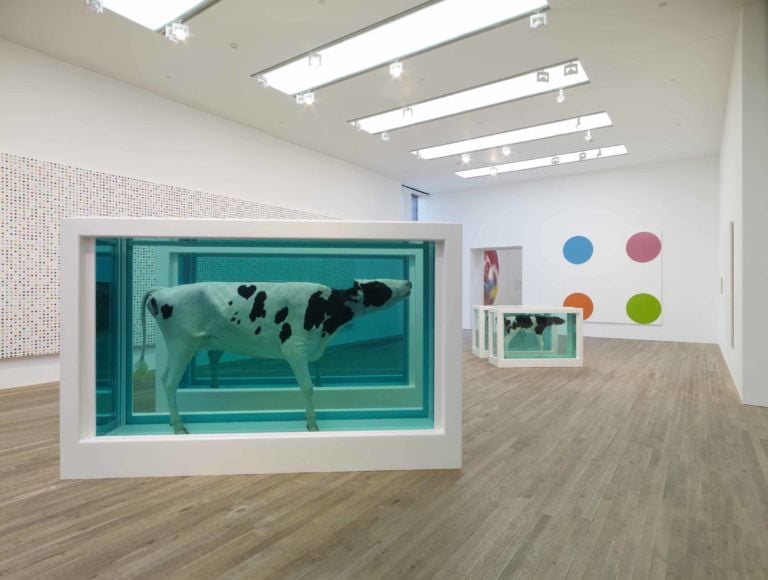 Damien Hirst Mother and Child Divided 1993 2007 La “camera delle meraviglie” di Damien Hirst