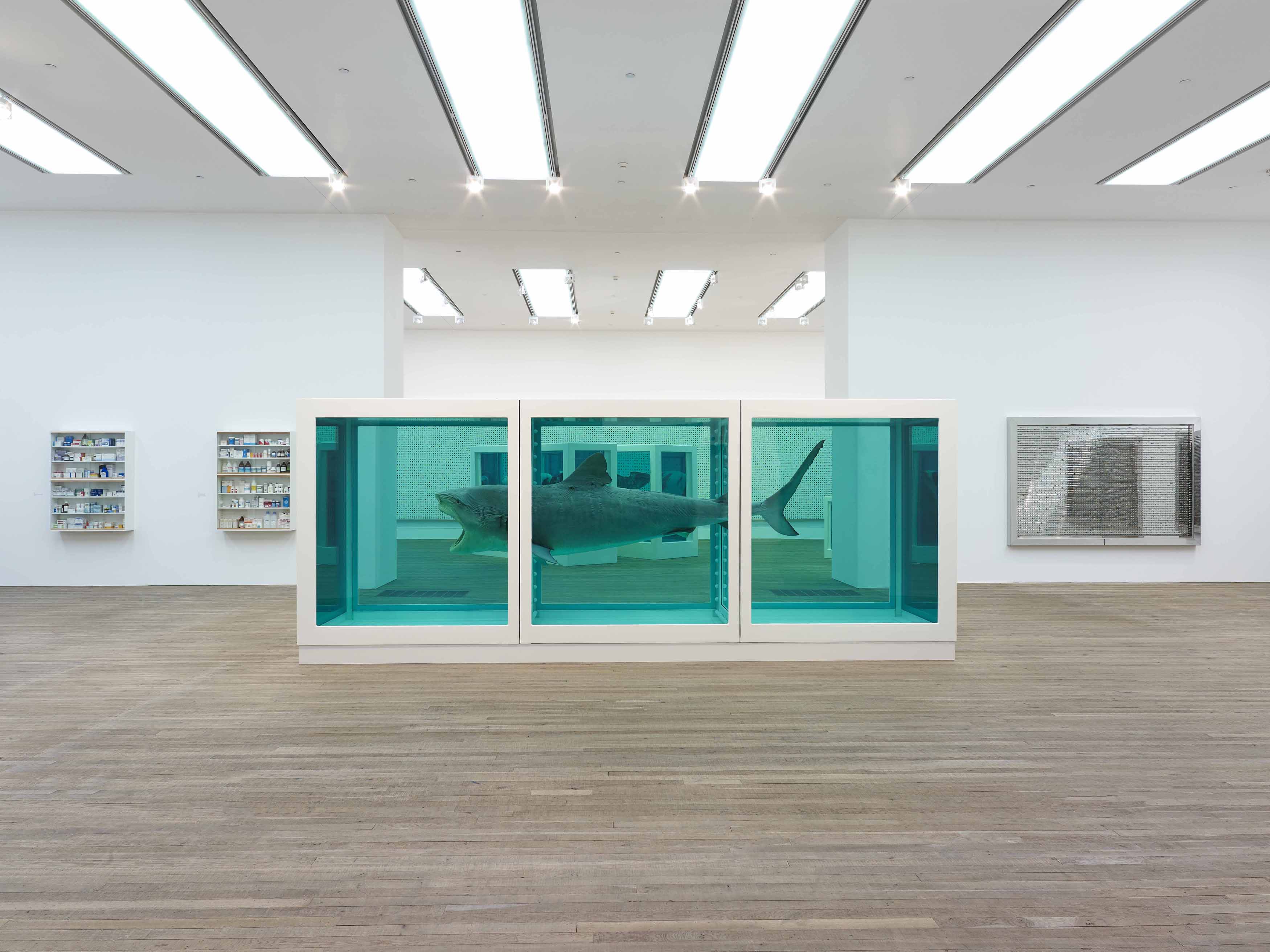 Damien Hirst – The Physical Impossibility of Death in the Mind of Someone Living – 1991