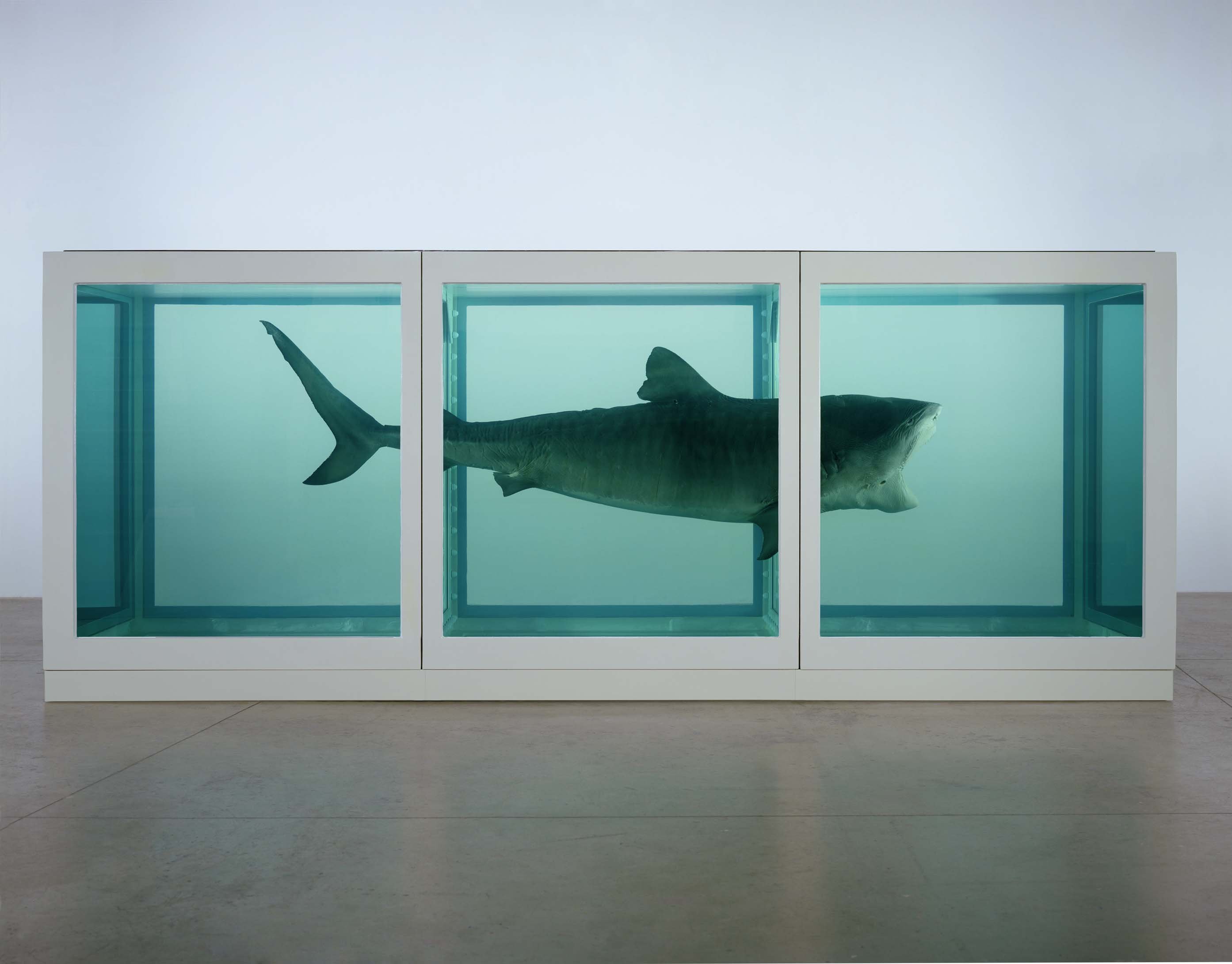 Damien Hirst - The Physical Impossibility of Death in the Mind of Someone Living - 1991