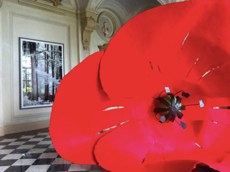 Il fiore mastodontico di Claes Oldenburg e Coosje van Bruggen accanto ai pixel di Thomas Ruff al Castello di Rivoli