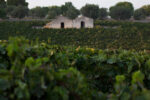 N. Viaggio in Sicilia. photo Gianni Mania Il Viaggio in Sicilia del Gruppo di Scicli, targato Planeta. Apre a Menfi la casa-museo dell'azienda vinicola siciliana. Con una mostra che celebra la nota scuola di pittori e scultori