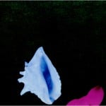 New Order – Touched By The Hand Of God by Peter Saville Il ritorno dei New Order. Prima l'attesissimo concerto e poi una mostra, all'.HBC. Berlino celebra la mitica band, nata trent'anni fa sulle ceneri dei Joy Division