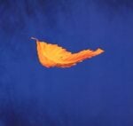 New Order cover del singolo truefaith by Peter Saville 1987 Il ritorno dei New Order. Prima l'attesissimo concerto e poi una mostra, all'.HBC. Berlino celebra la mitica band, nata trent'anni fa sulle ceneri dei Joy Division