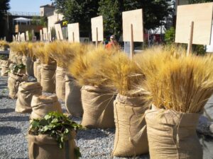 Una fattoria in pieno centro. Al via a Firenze Pitti Uomo, tante immagini dell’allestimento bucolico, fra rotoli di fieno, chioschi di frutta e sacchi di iuta