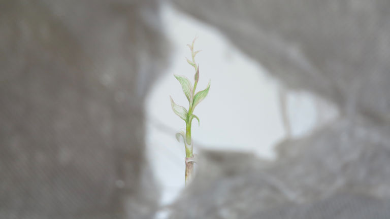 particolare della mostra Ciment bourbeux photo Ambra Patarini Judith Egger. Ripensare la natura