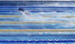 Stefano Nicolini Contraddizioni olimpiche a Casa Italia. Nella base azzurra di Londra il cibo è top (Bottura ai fornelli), ma l'arte fa flop (Tamburro alle pareti). Qual è il senso?