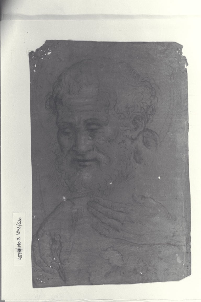 Uno dei disegni del Fondo Peterzano conservati a Castello Sforzesco 11 Maurizio Calvesi, i dilettanti e Caravaggio