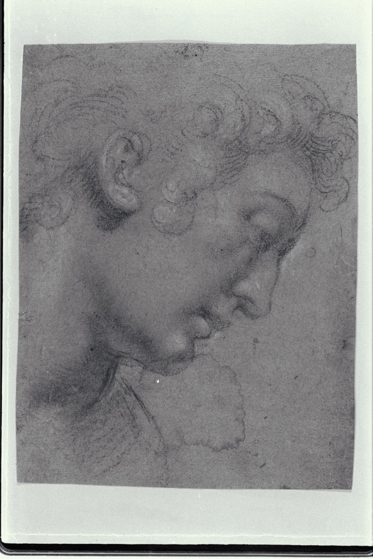 Uno dei disegni del Fondo Peterzano conservati a Castello Sforzesco 5 Maurizio Calvesi, i dilettanti e Caravaggio
