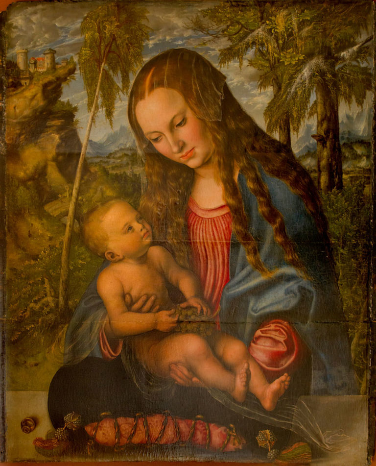 °Madonna del Pino 1505 Olio su tela Cattedrale di S. Giovanni Battista Breslavia La "Madonna del pino" di Cranach rientra in Polonia. Si spera ancora per il Raffaello che Hitler voleva nel suo Museo. Caccia ai capolavori trafugati