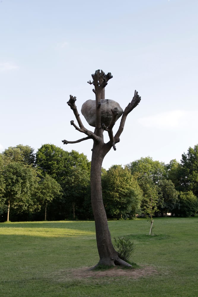 Penone. Da Kassel a Versailles, passando per Kabul