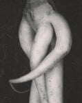 74 Rocce, cavoli e corpi di donne. La perfezione secondo Edward Weston