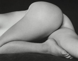 Rocce, cavoli e corpi di donne. La perfezione secondo Edward Weston