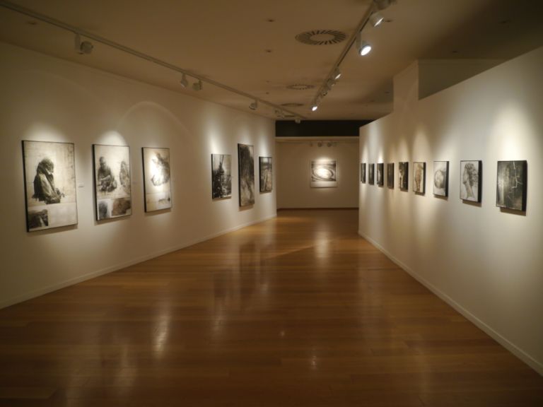 Andrea Mariconti Storia Naturale installation view La natura tatuata. Nei volti e nei paesaggi di Andrea Mariconti