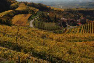 Valpolicella, Palladio e tu