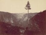 Charles Leander Weed Yosemite Valley from Mariposa Trail Dai dagherrotipi di Charles Leander Weed a Cindy Sherman e Francesca Woodman. Anche Sotheby’s New York riparte dalla fotografia