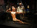 IMG 4282 Body Worlds. A mente aperta, a corpo libero