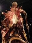 IMG 4312 Body Worlds. A mente aperta, a corpo libero