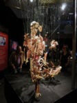 IMG 4328 Body Worlds. A mente aperta, a corpo libero