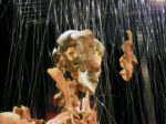 IMG 4330 Body Worlds. A mente aperta, a corpo libero