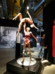 IMG 4348 Body Worlds. A mente aperta, a corpo libero