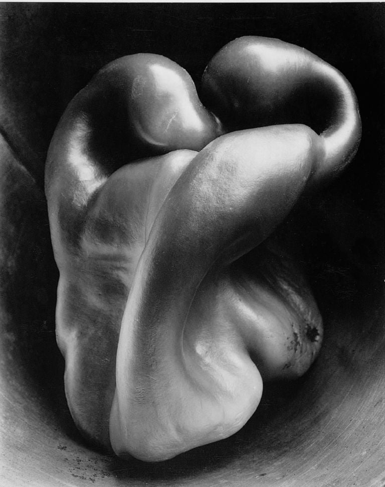 Pepper no. 30 di Edward Weston Fotografare il mercato della fotografia, roba per Phillips de Pury, che riparte con le aste newyorkesi. E con nomi come Edward Weston, Alfred Stieglitz, Irving Penn…