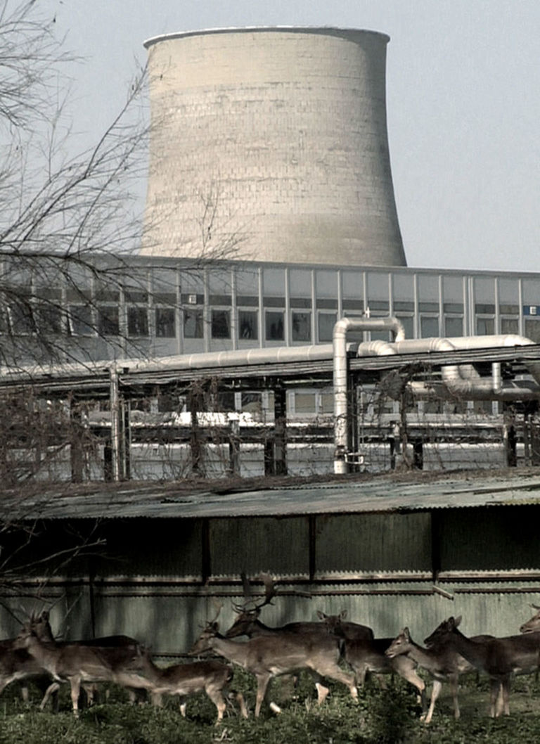 Yuri Ancarani ugarit 2007 videostill Alberto Salvadori si racconta. Una mini-intervista al direttore del Marino Marini di Firenze, in esclusiva per Artribune. Ecco i prossimi due anni del Museo