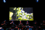 oVO 2008 creditHeidrunHenke The Vegetable Orchestra. Perché ogni cosa può essere suonata