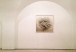 Daydream Willow Tree 2012 ed. of 5 D print on rag pape. Valentina Bonomo Gallery Irene Kung: la magia dell'immanenza