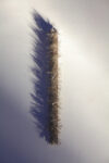 Limpero 2012 magnete e 5000aghi in metall dimensioni variabili Silvia Giambrone: il pizzo sulla pelle
